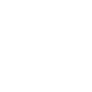 ZINCH